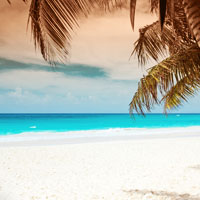 EXCELLENCE PLAYA MUJERES - beach