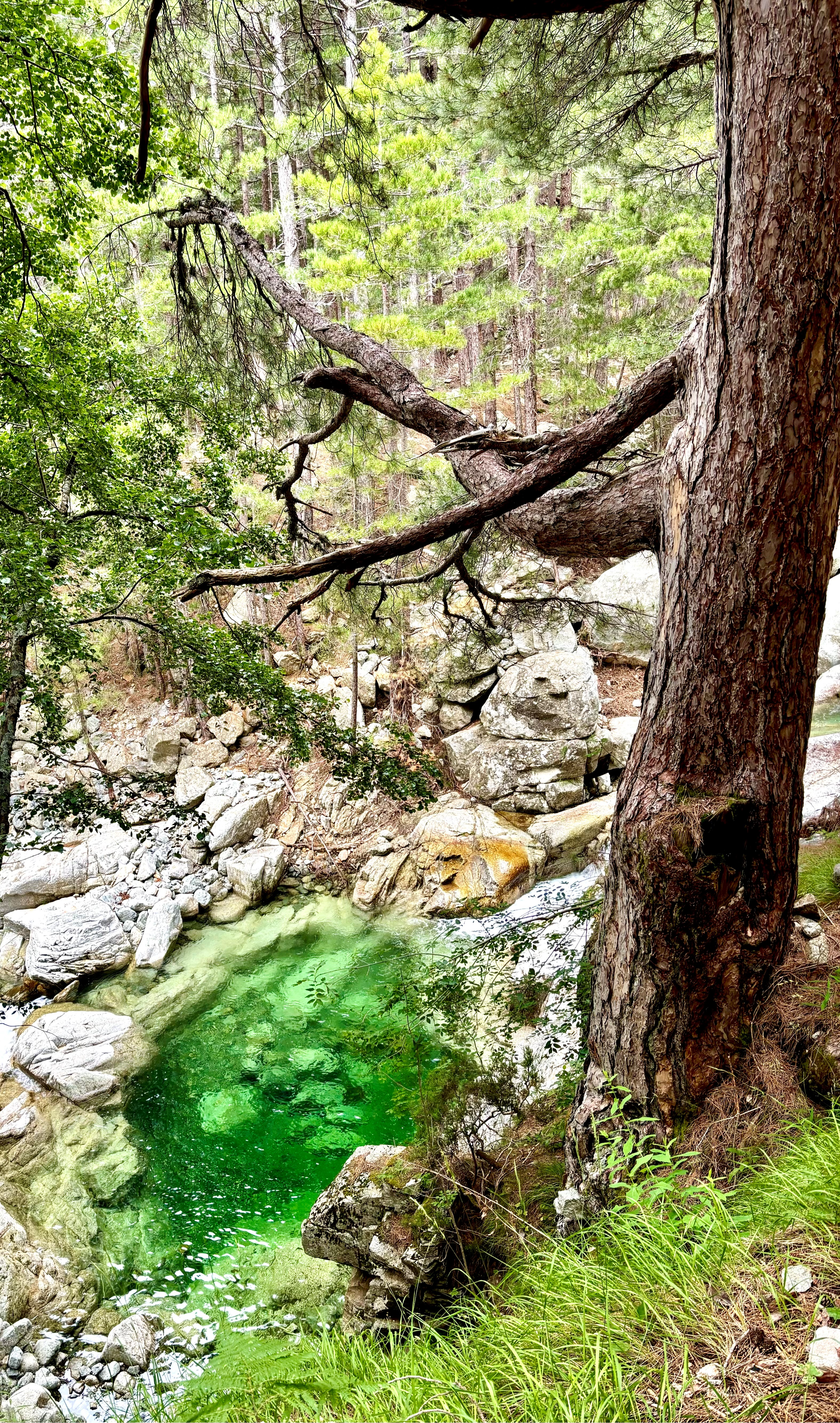 Piscine naturelle du GR20