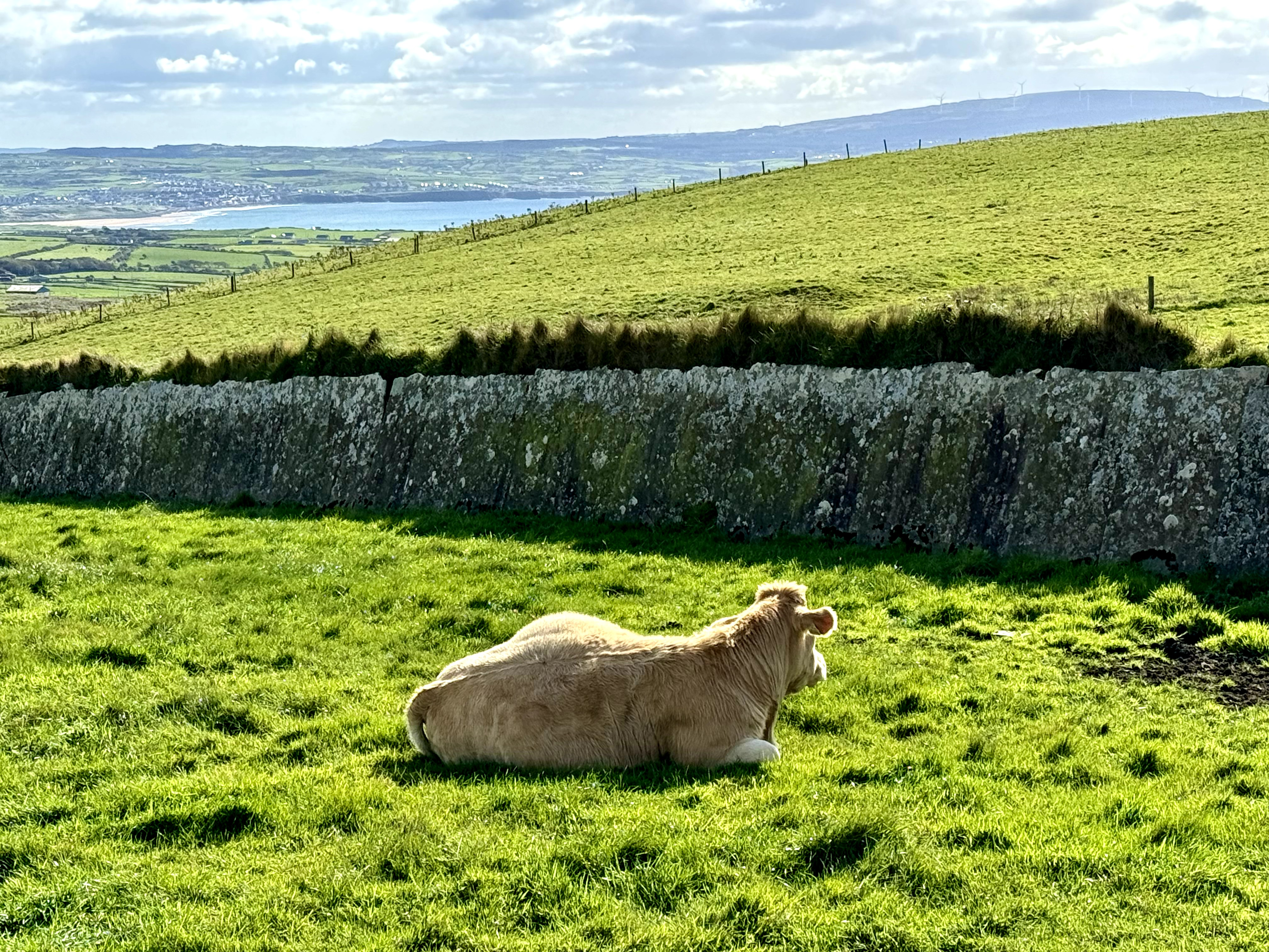 Route vers les falaises de Moher 