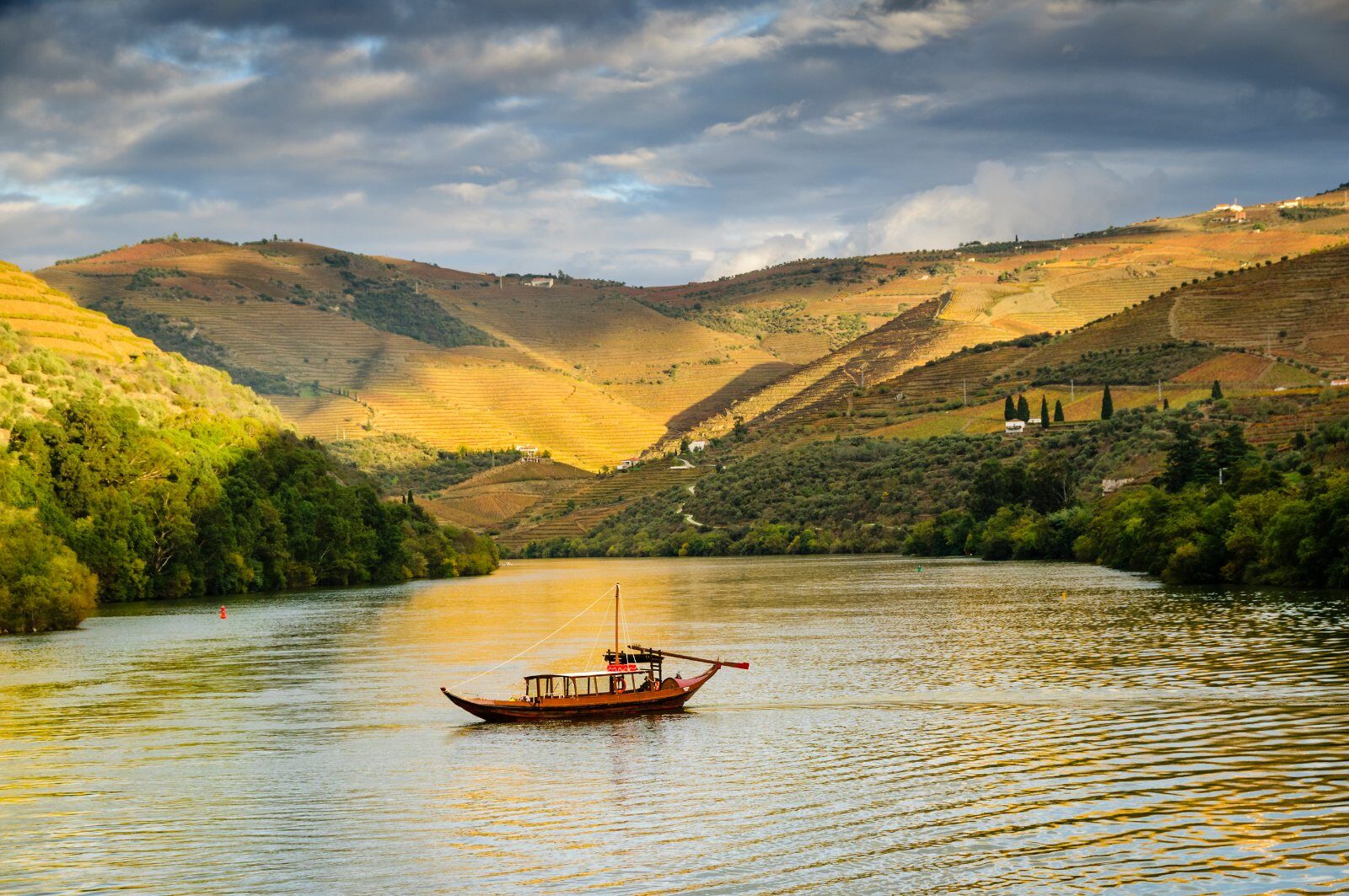 Vallée du Douro au soleil couchant