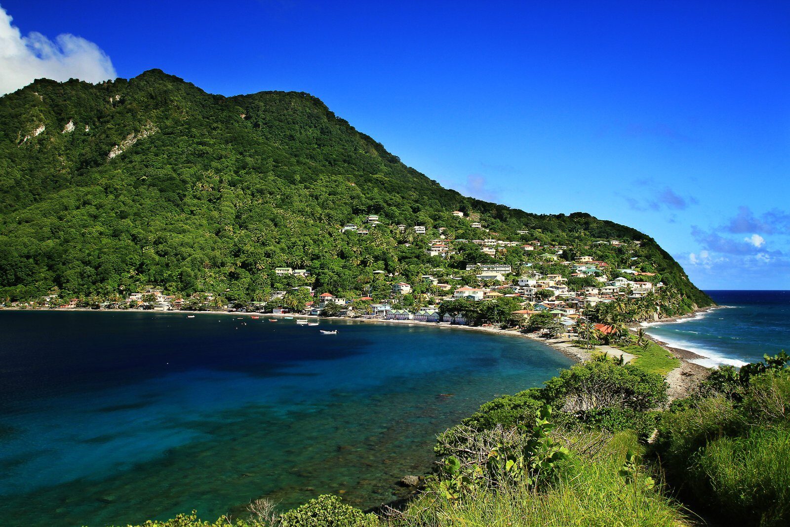 Baie verdoyante d