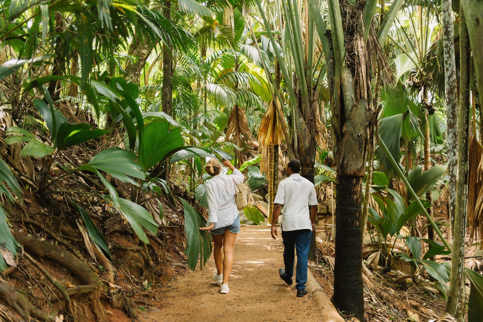 Promeneurs dans la forêt de la vallée de Mai, à Praslin