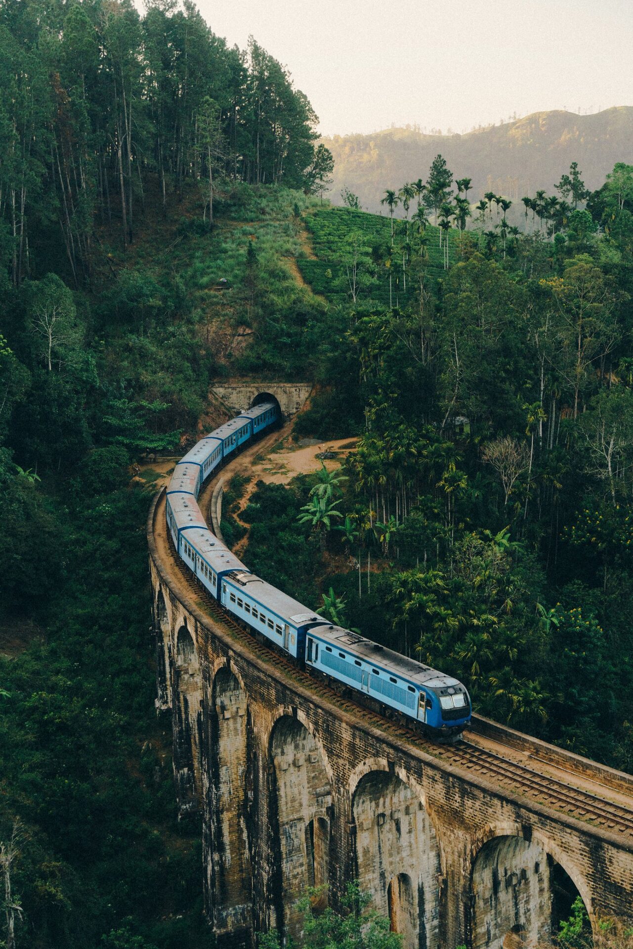 Collines couvertes de forêt au Sri Lanka