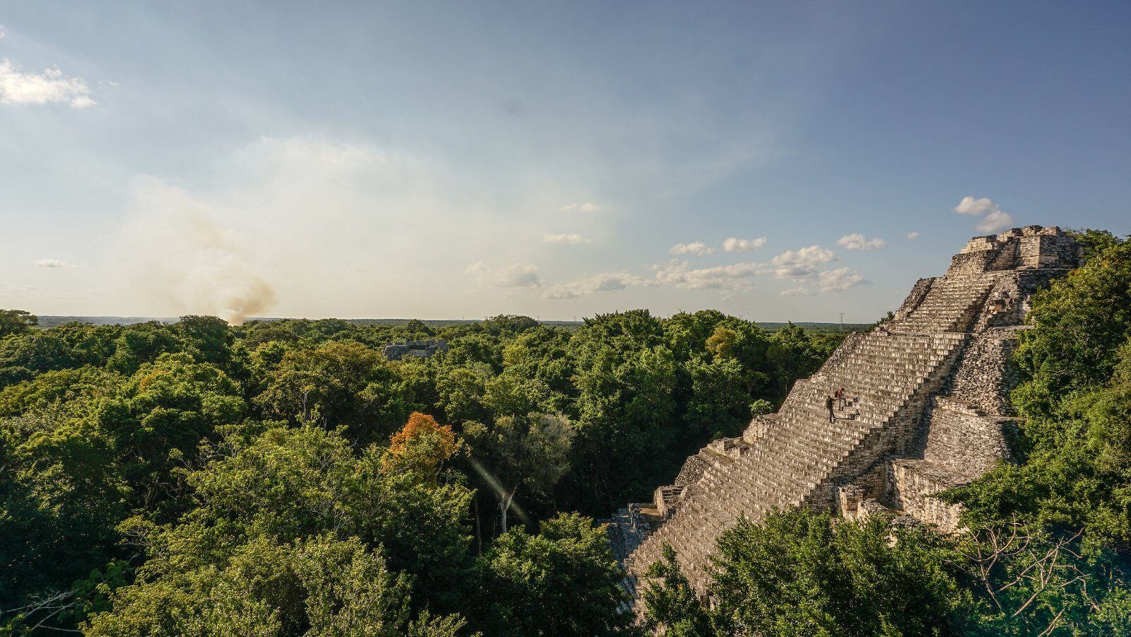 Pyramide maya dominant la jungle du Yucatán