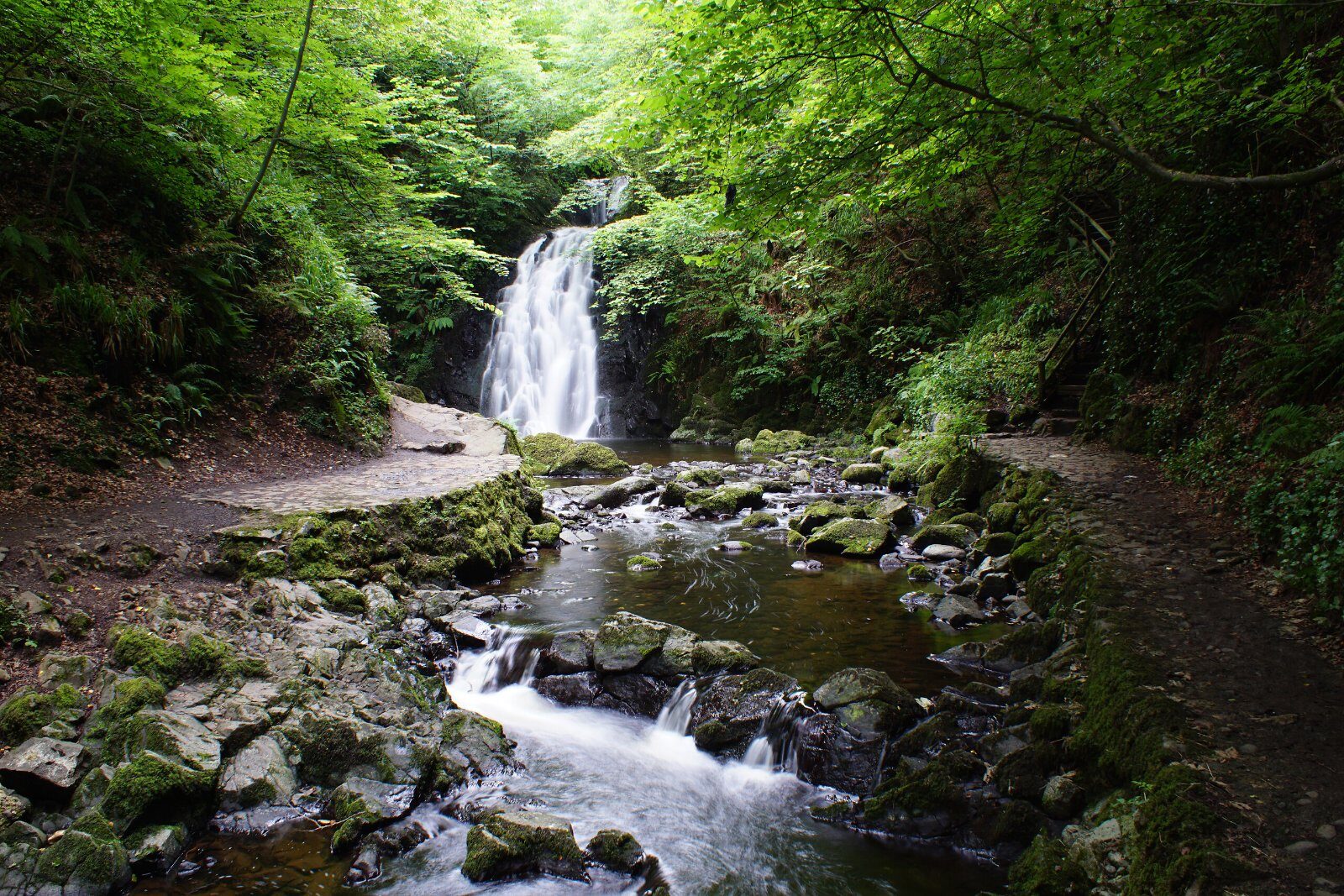 Cascade dans une forêt d