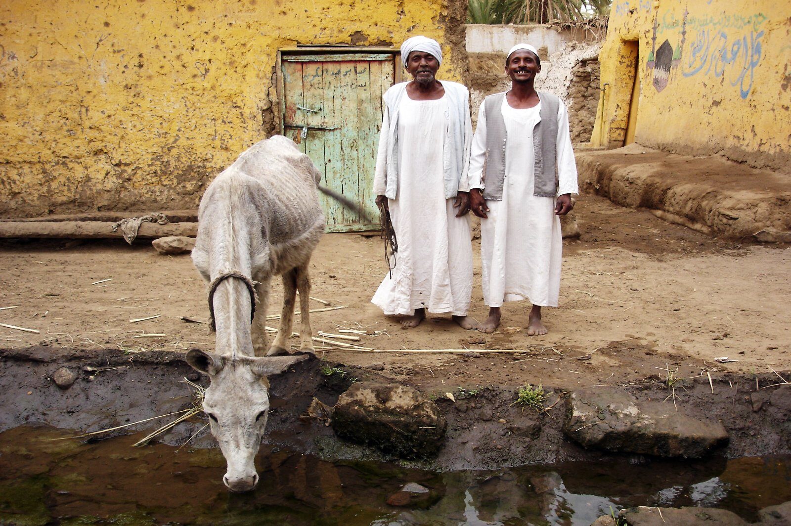 Habitants et chameau dans un village au bord du Nil