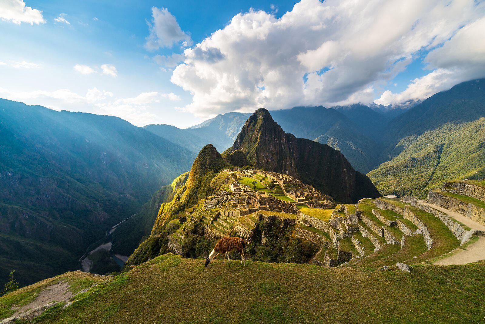Cité inca du Machu Picchu