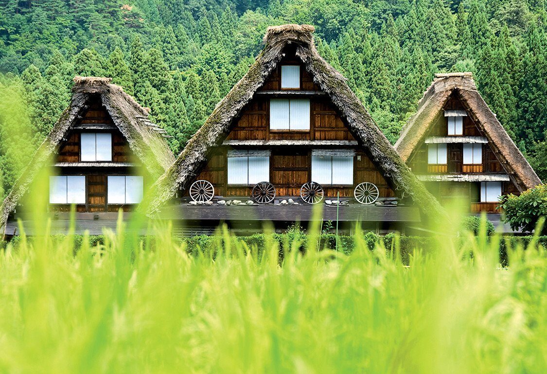 Maisons traditionnelles au toit de chaume de Shirakawa-go