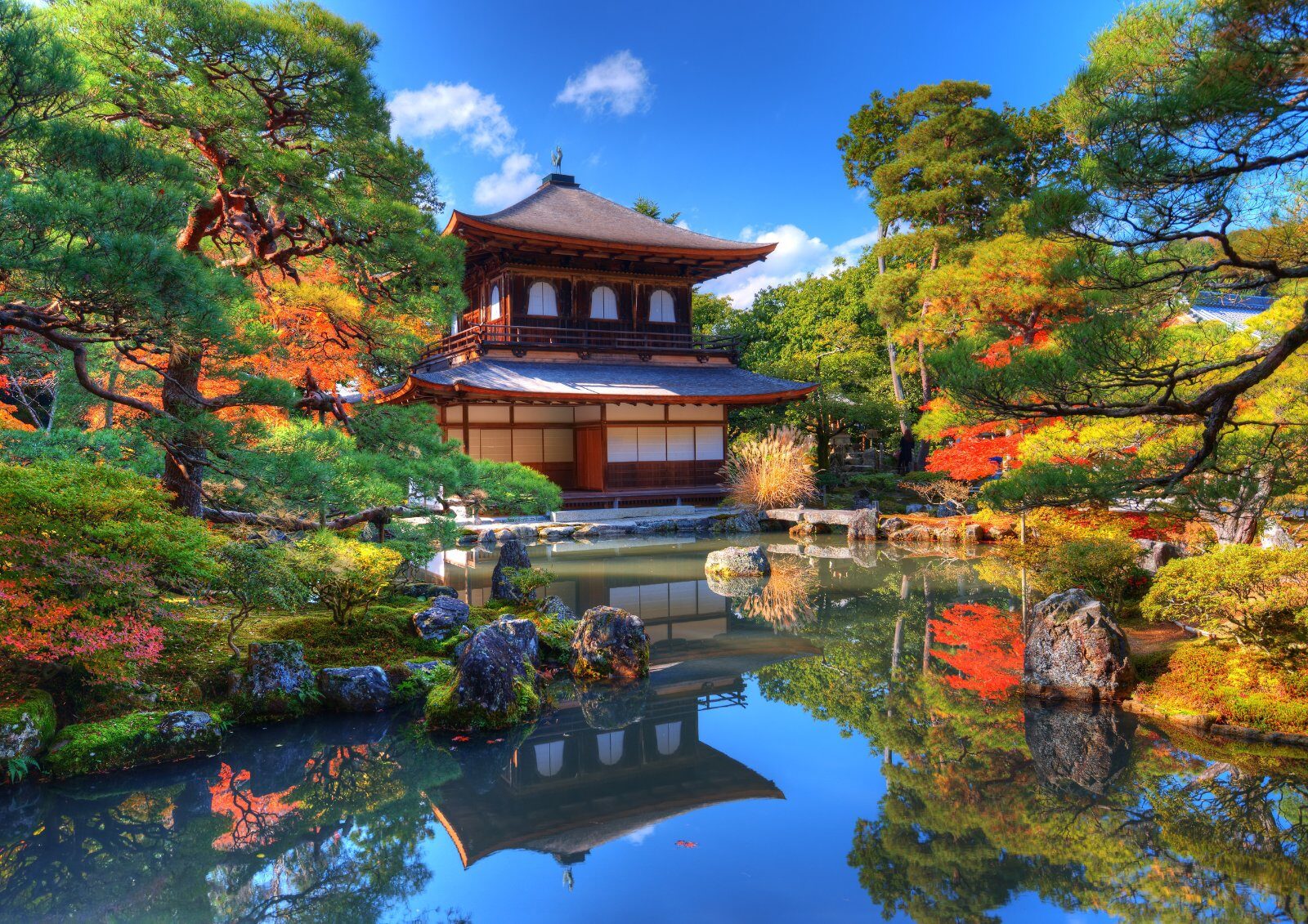 Temple et jardin japonais aux couleurs d