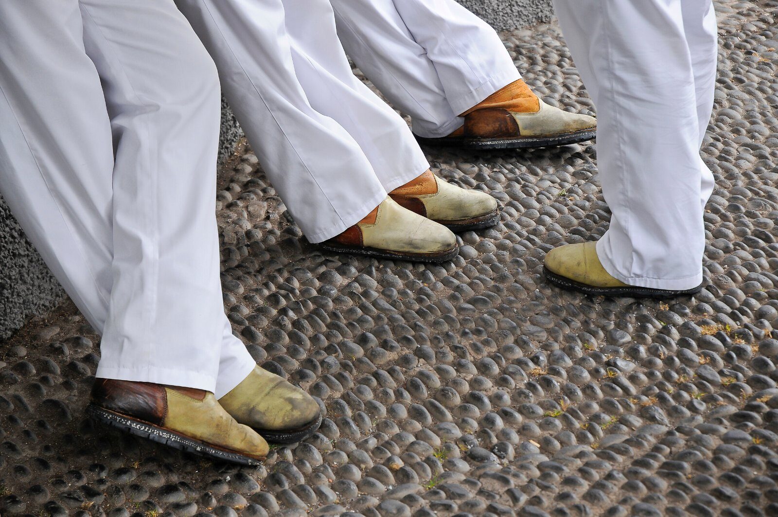 Danseurs en costume traditionnel de Madère