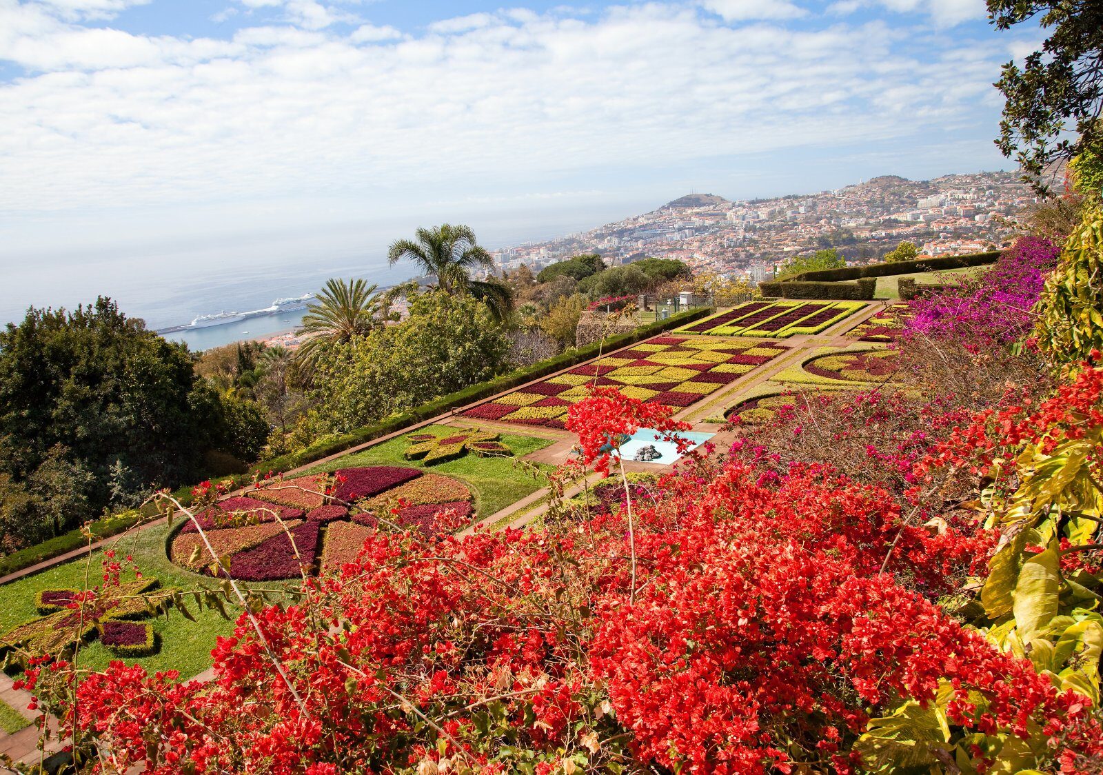 Massifs de fleurs dans un jardin de Funchal