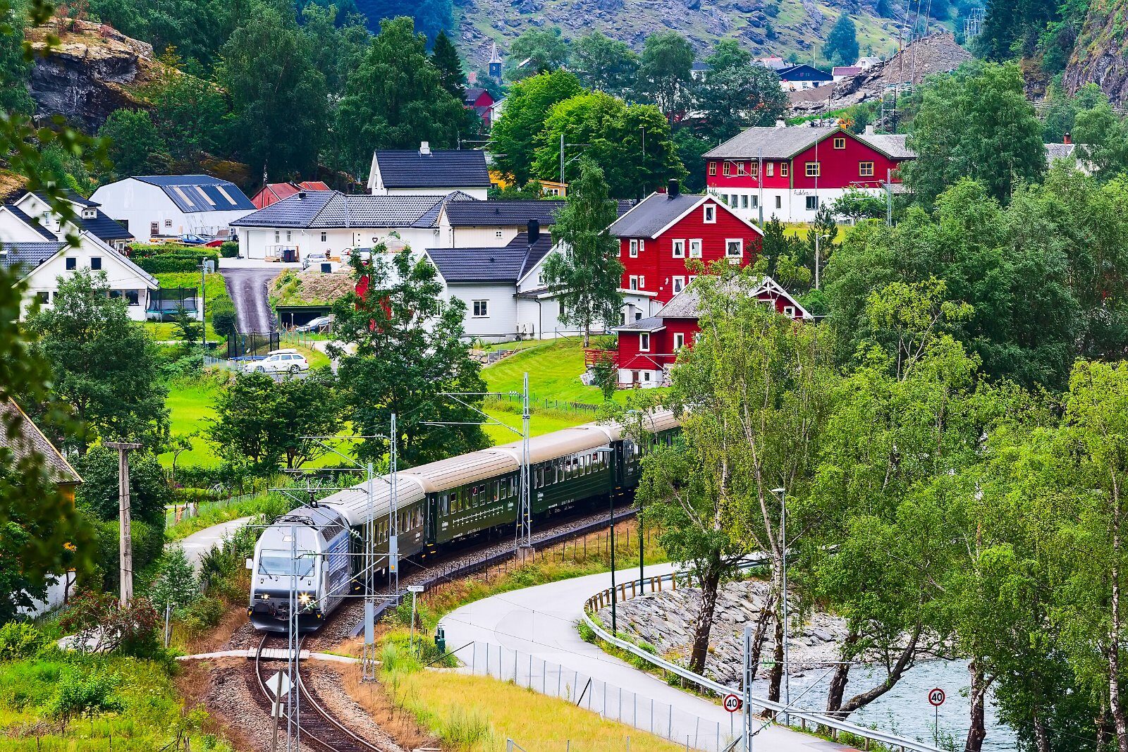 Train entre les maisons et la verdure en Norvège