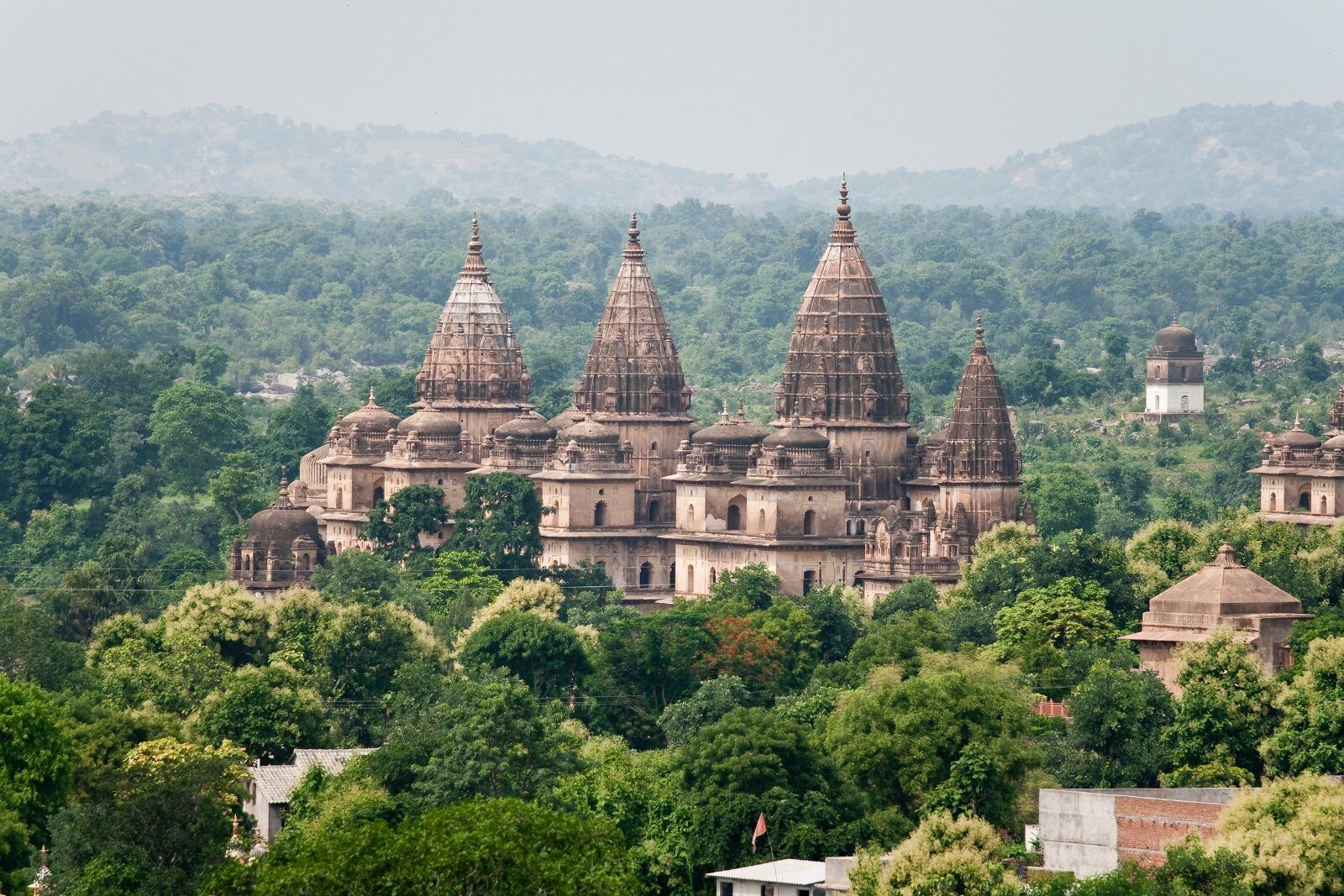 Temples de pierre au milieu de la forêt en Inde
