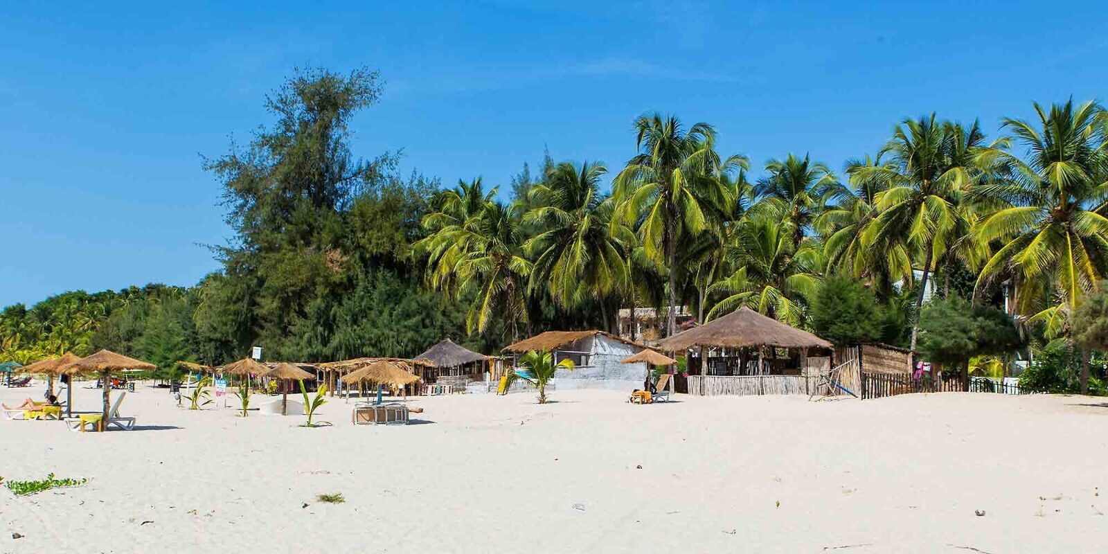 White sand beach lined with palm trees in West Africa