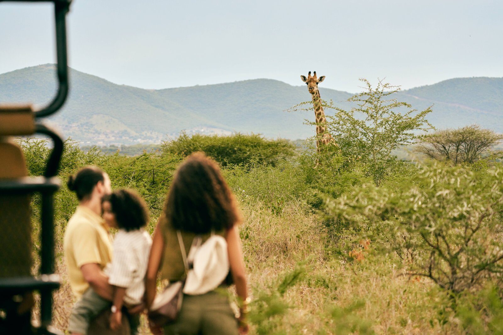 Rencontre avec une girafe lors d