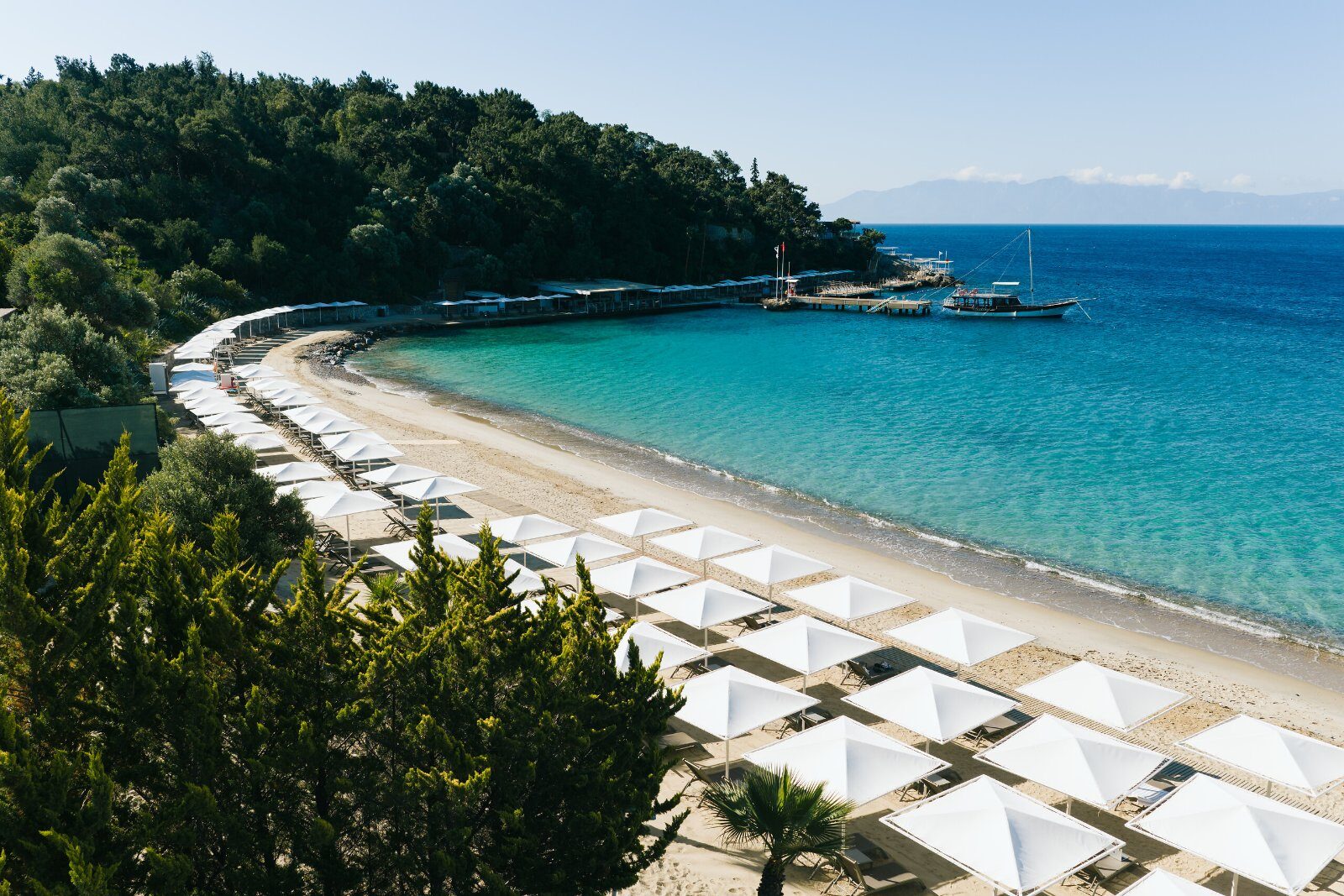 Beach and umbrella pines at Club Med Bodrum Palmiye