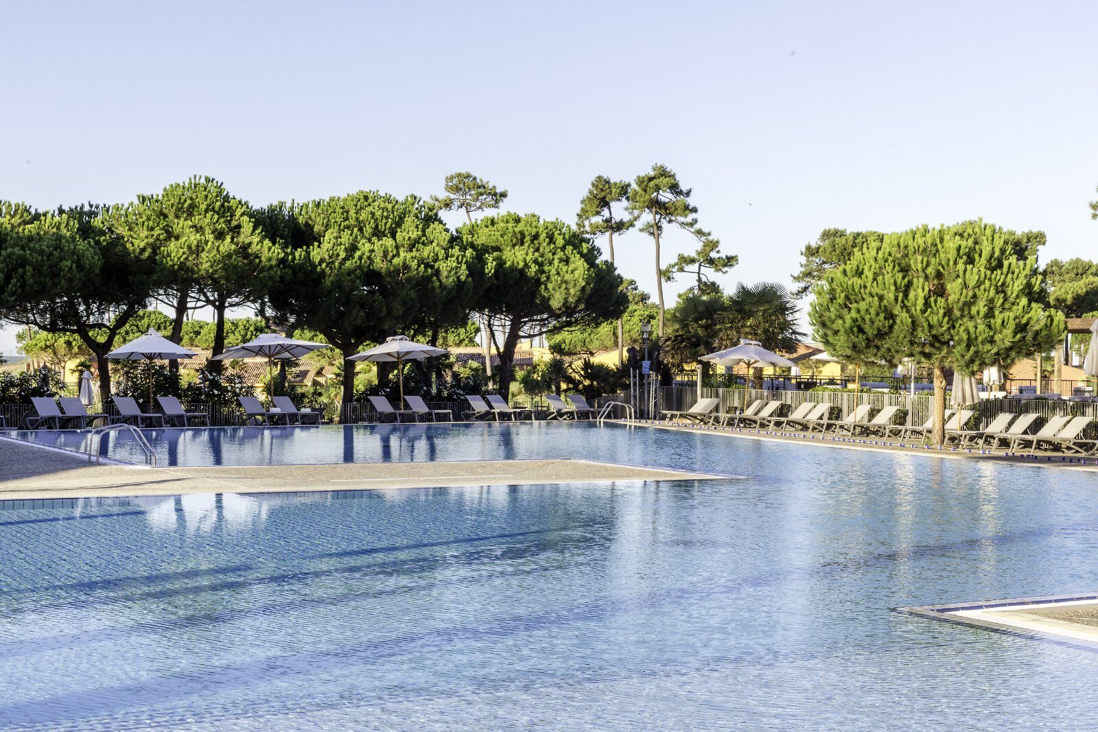 Piscine dans la pinède au Club Med La Palmyre Atlantique
