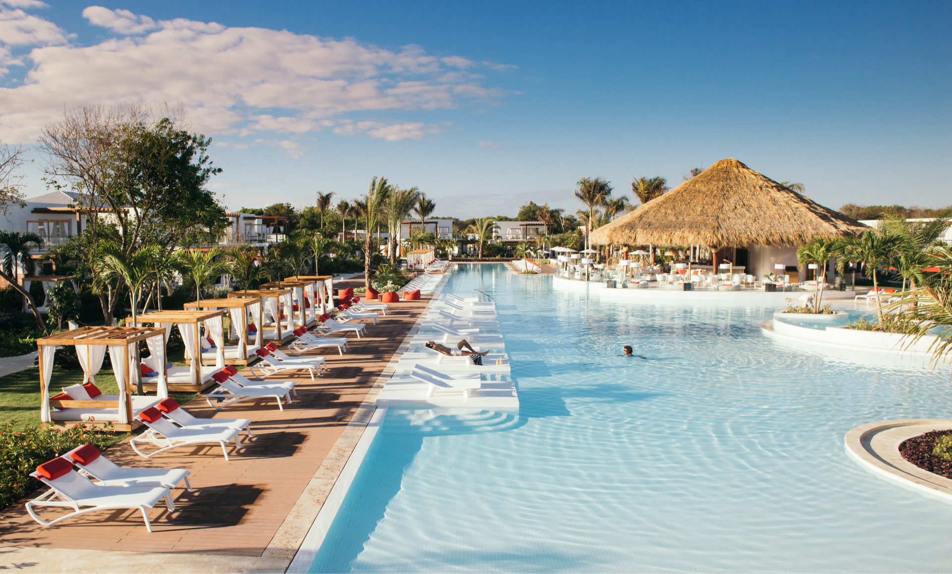 Zen Oasis Adult Zen Oasis Adult