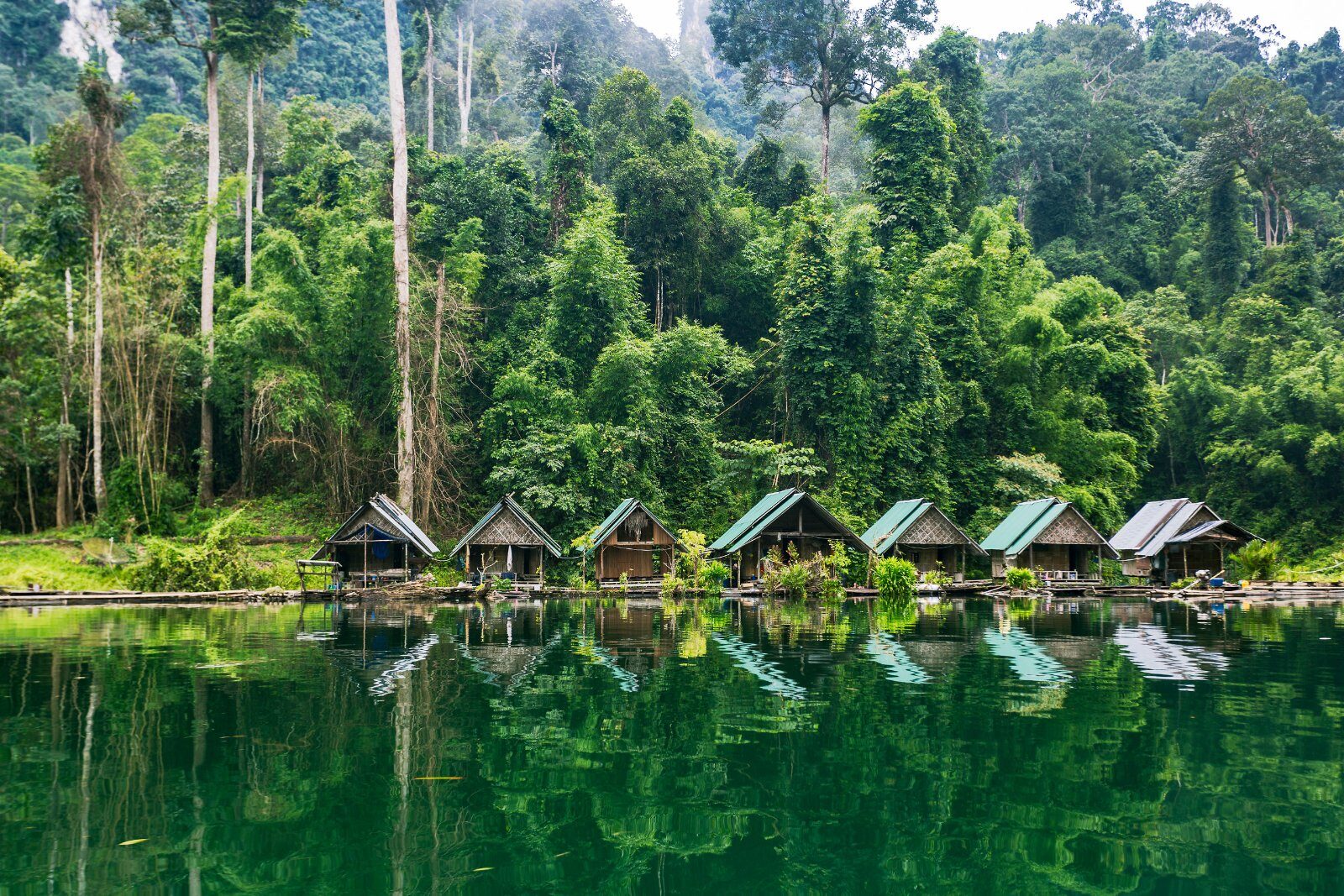Floating bungalows at the edge of the Khao Sok jungle