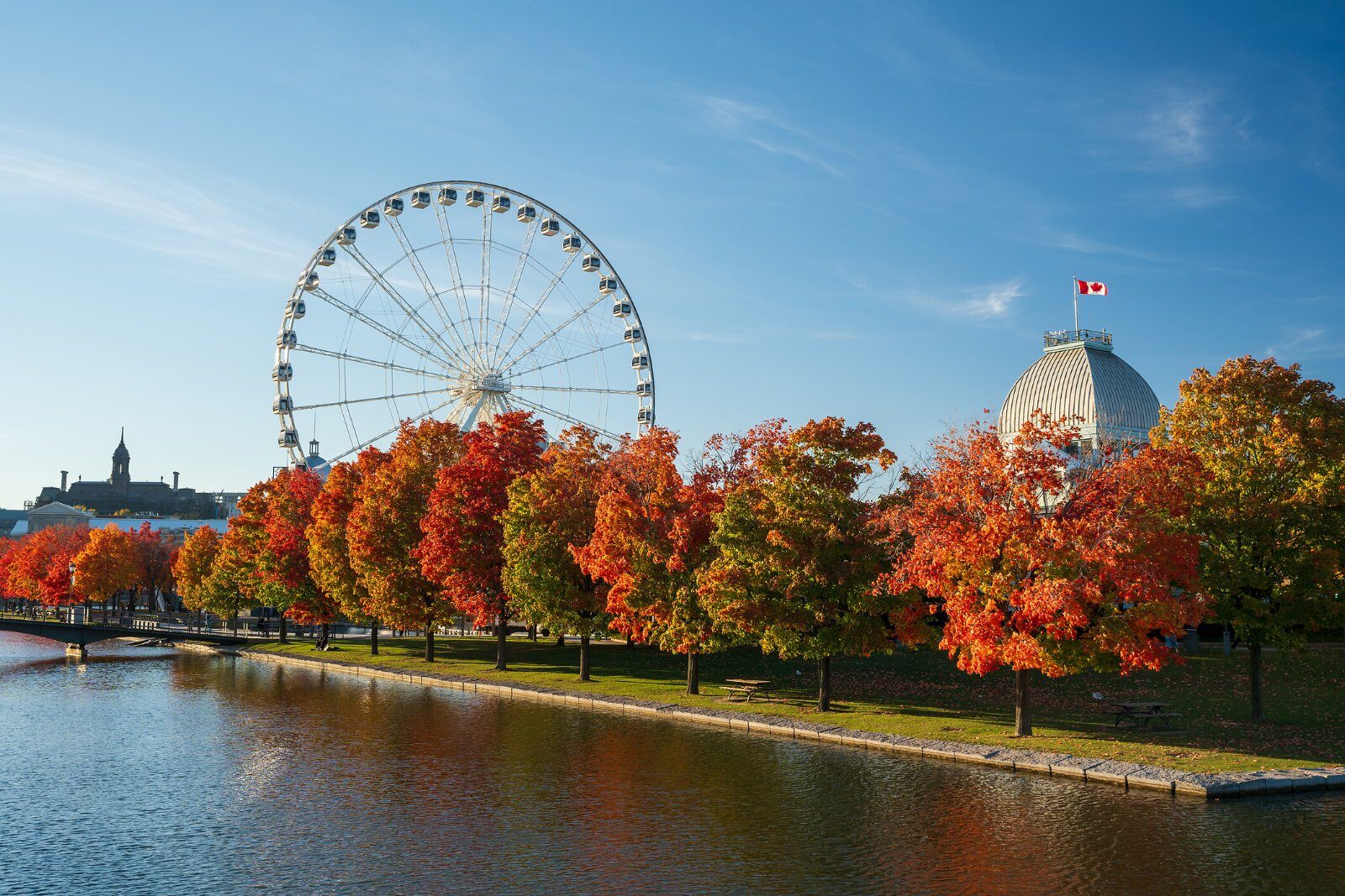 Old Port of Montreal Ferris wheel in autumn