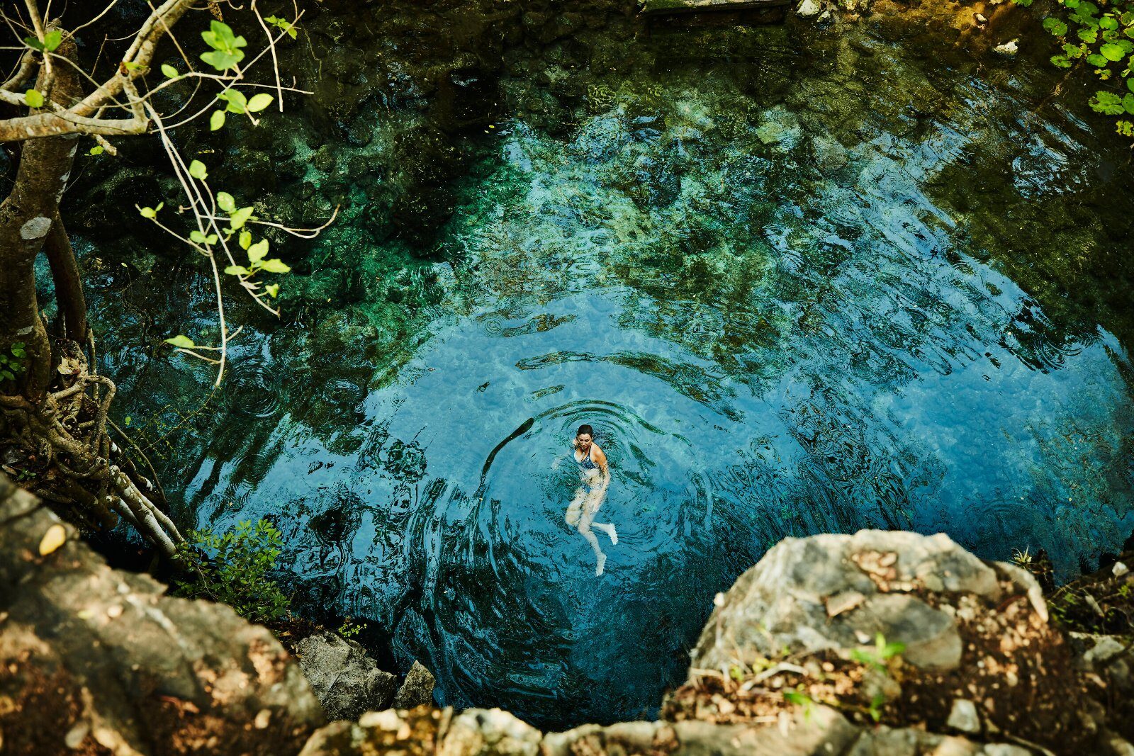 Turquoise cenote in the Yucatán forest