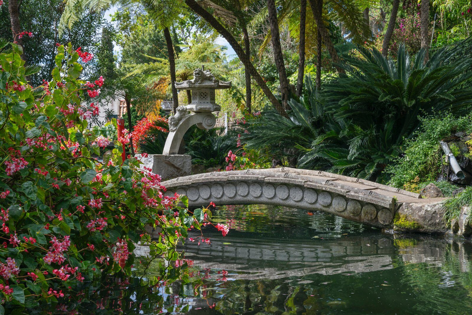 Lush tropical garden in Madeira