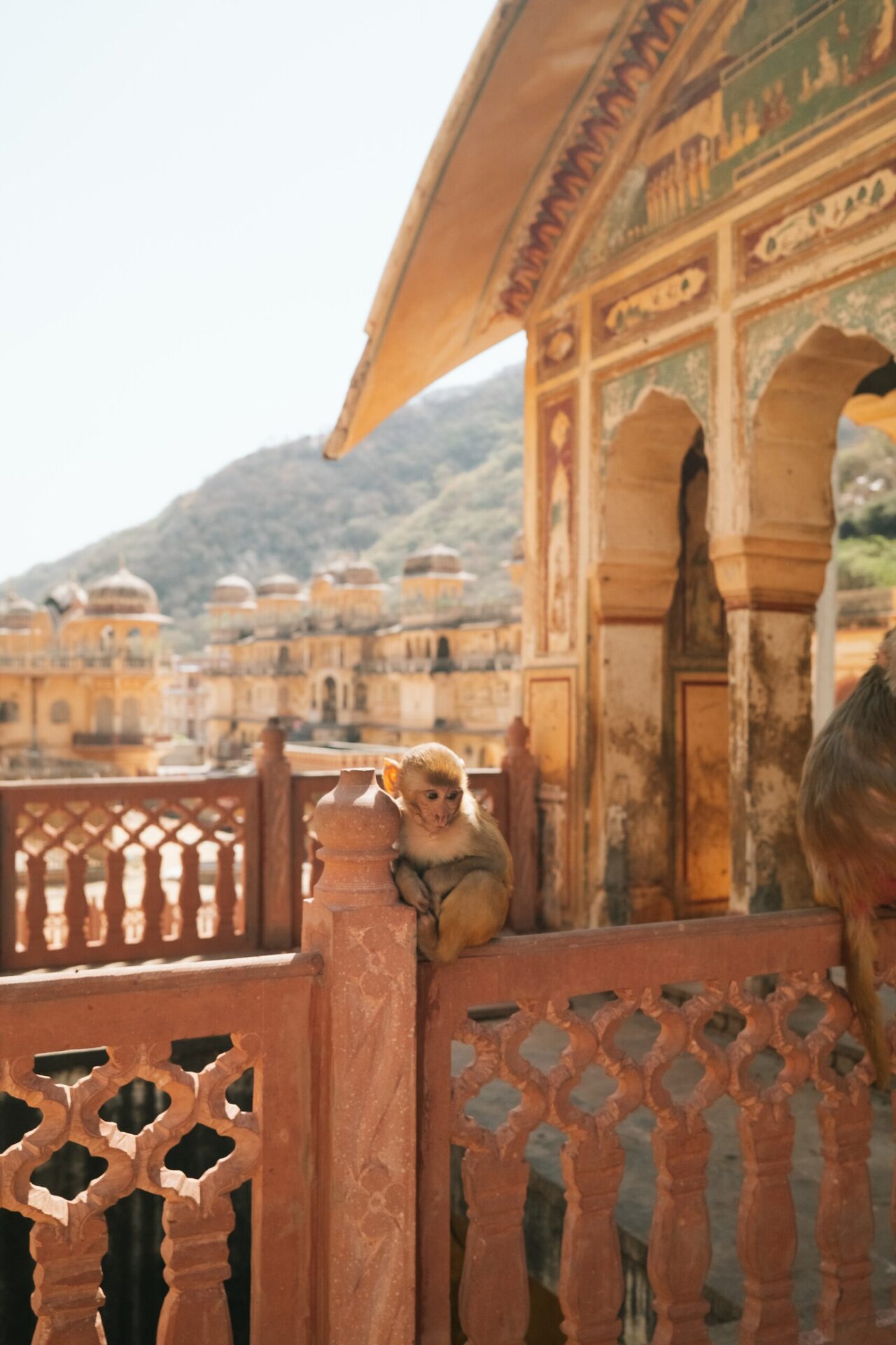 Carved arches of a Rajasthan palace