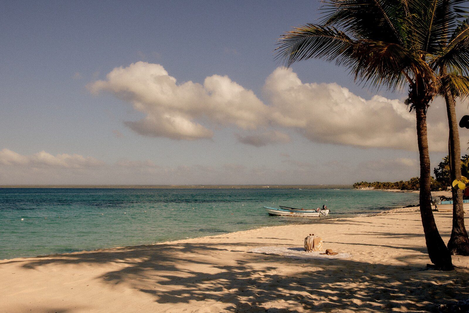 Plage de sable et cocotiers lors d’une escale aux Antilles