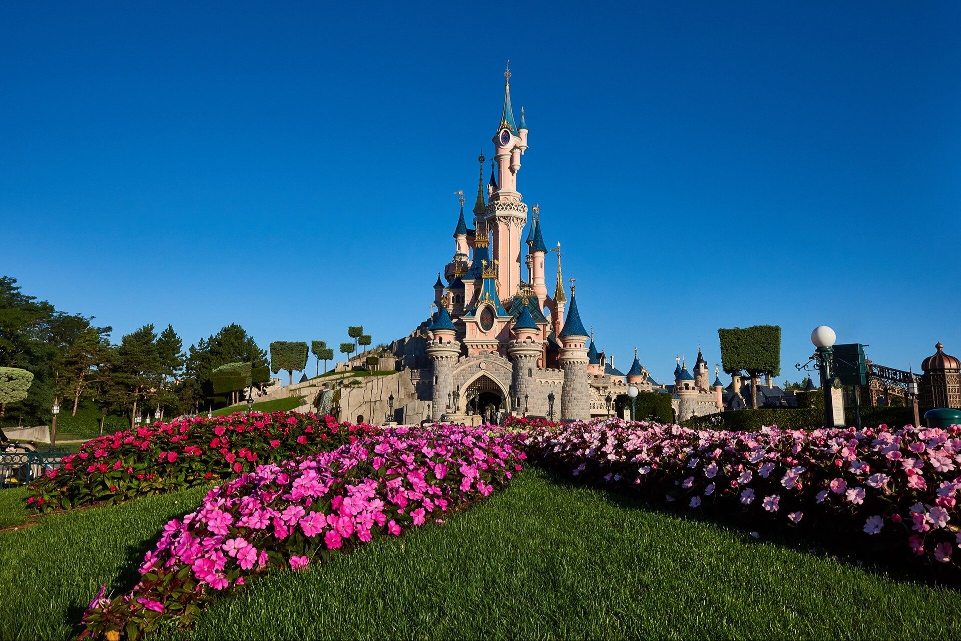 Sleeping Beauty Castle in Disneyland Park, behind beds of pink flowers and a green lawn. Photo: ©Disney. Sleeping Beauty Castle in Disneyland Park, behind beds of pink flowers and a green lawn. Photo: ©Disney.