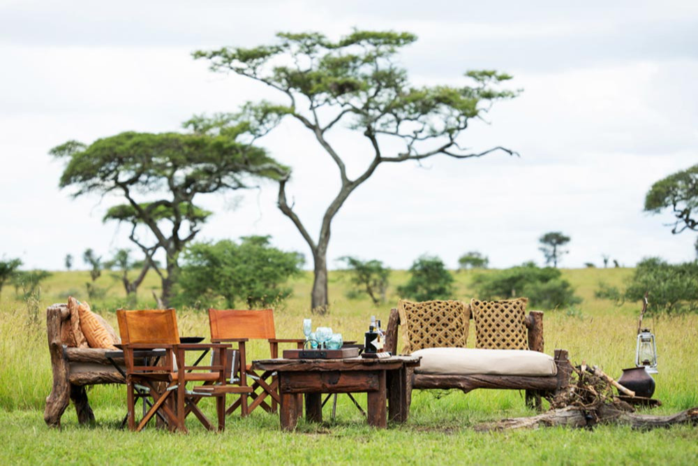 safari