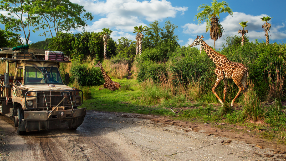 Kilimanjaro Safaris Kilimanjaro Safaris