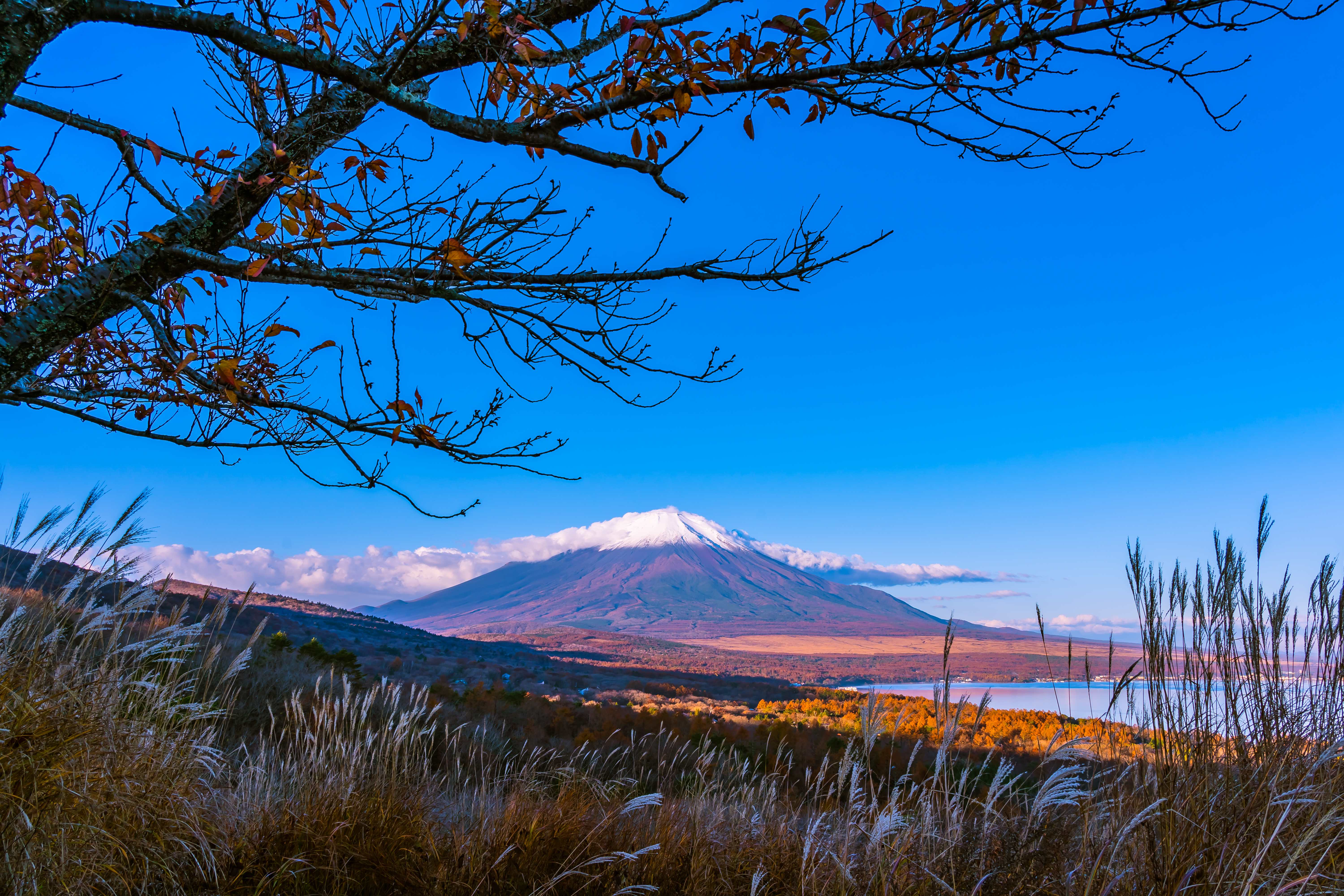 Mont Fuji en automne