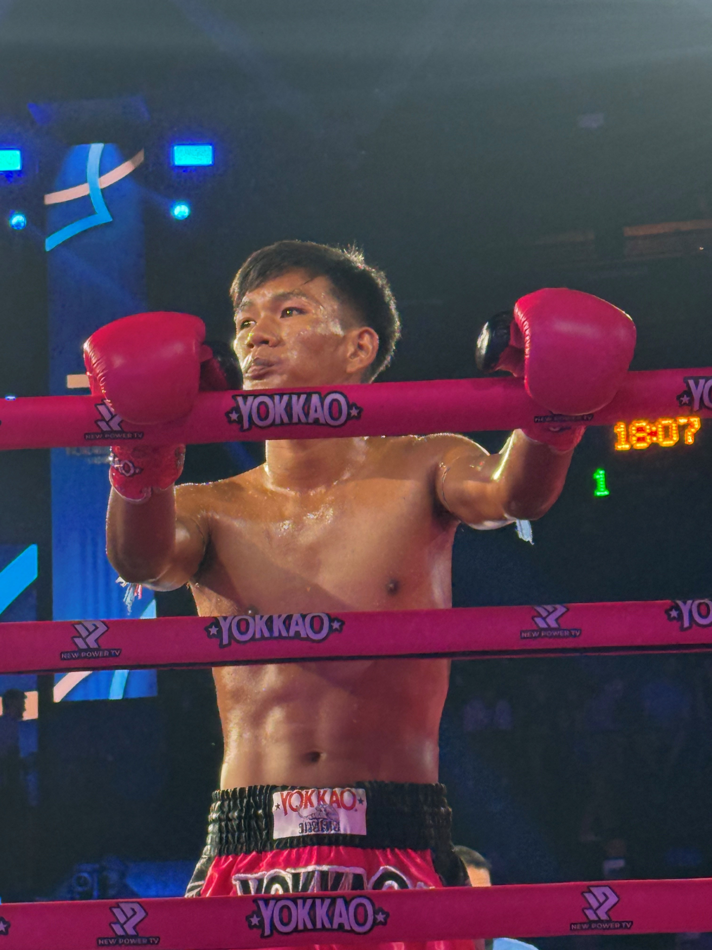 Combatant Muay Thai undefined