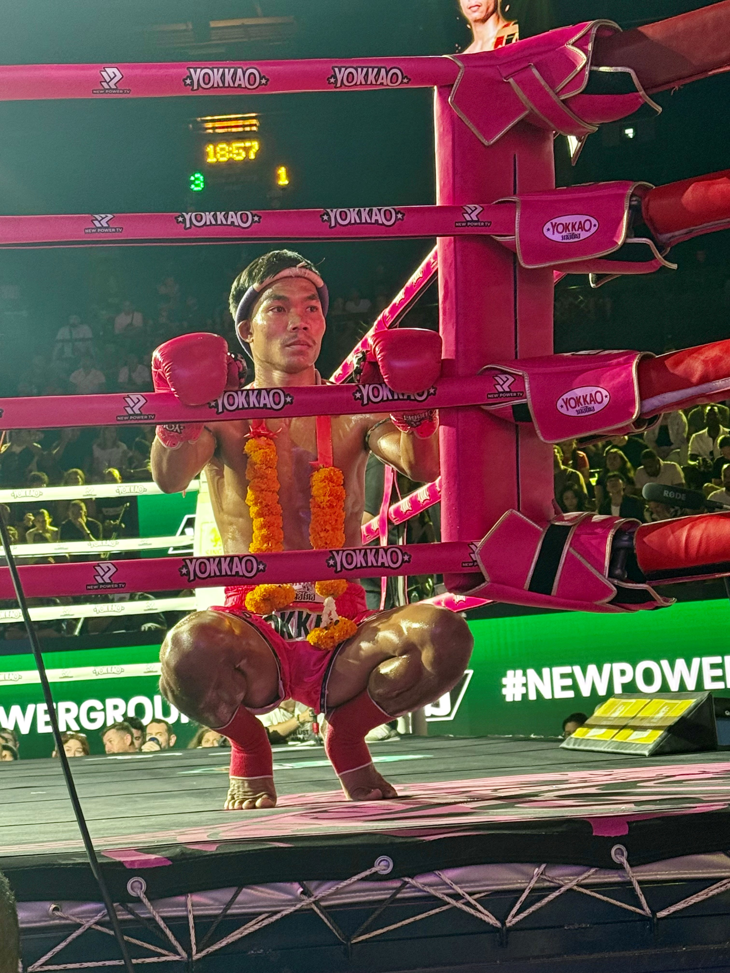 Combatant Muay Thai undefined