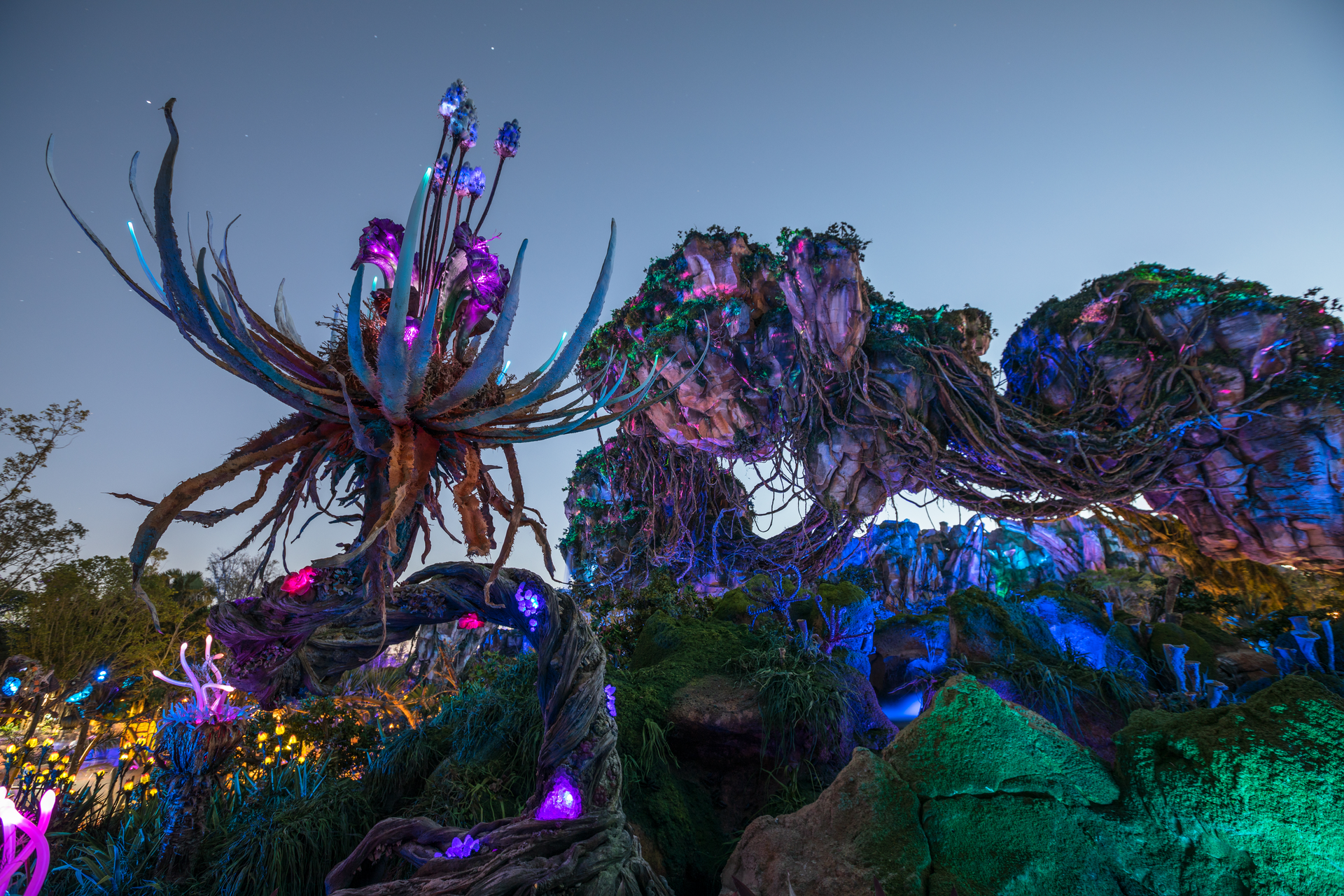 Bienvenue à Pandora—The World of Avatar