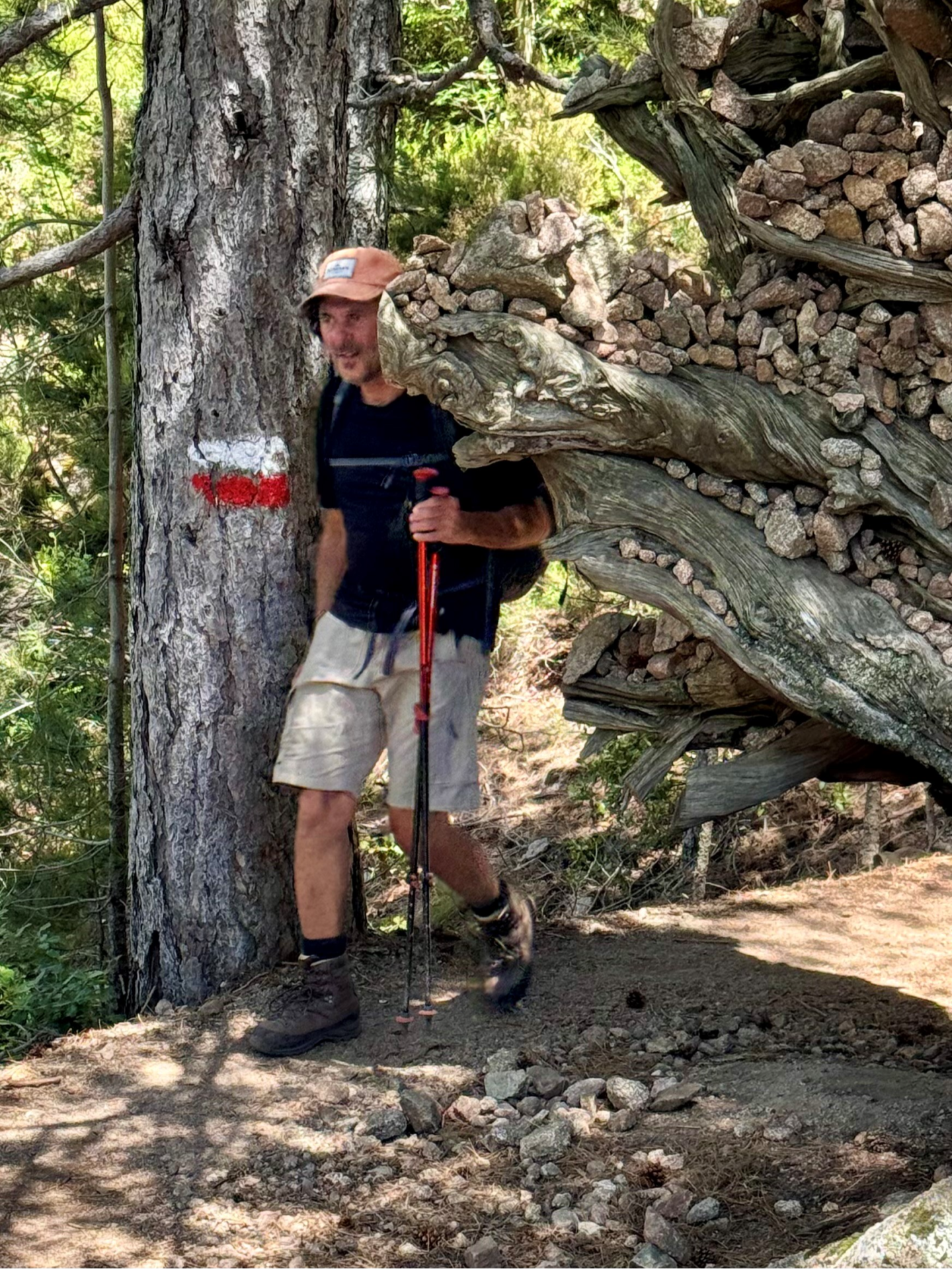 Sur la route du GR20 Sur la route du GR20