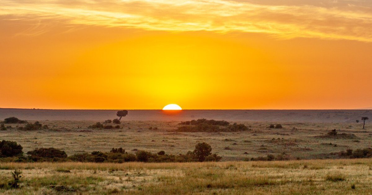 African safaris by budget