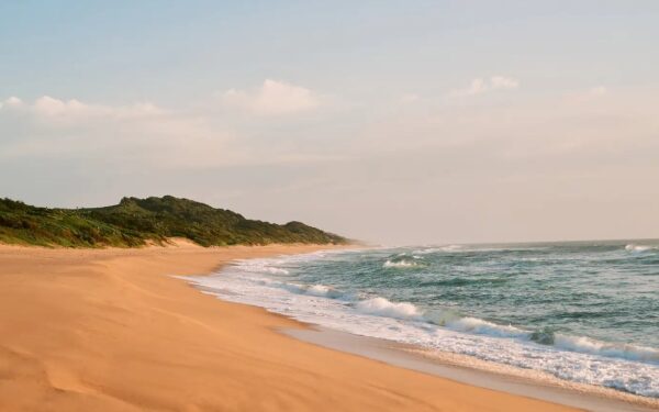 Une longue plage de sable doré bordée par une végétation naturelle, où les vagues de l’océan viennent doucement se briser sous un ciel lumineux d’Afrique du Sud Une longue plage de sable doré bordée par une végétation naturelle, où les vagues de l’océan viennent doucement se briser sous un ciel lumineux d’Afrique du Sud