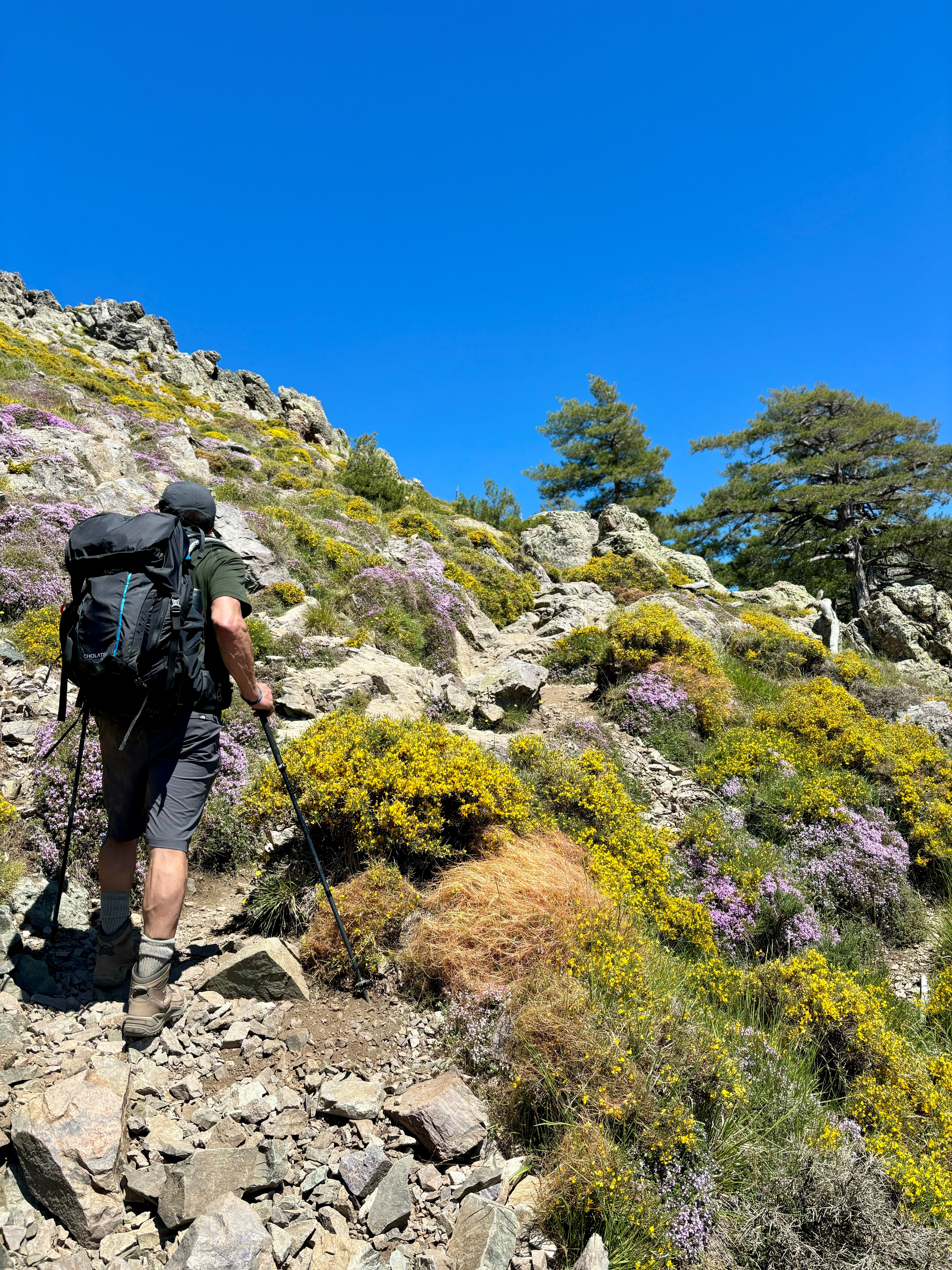 La beauté des maquis du GR20