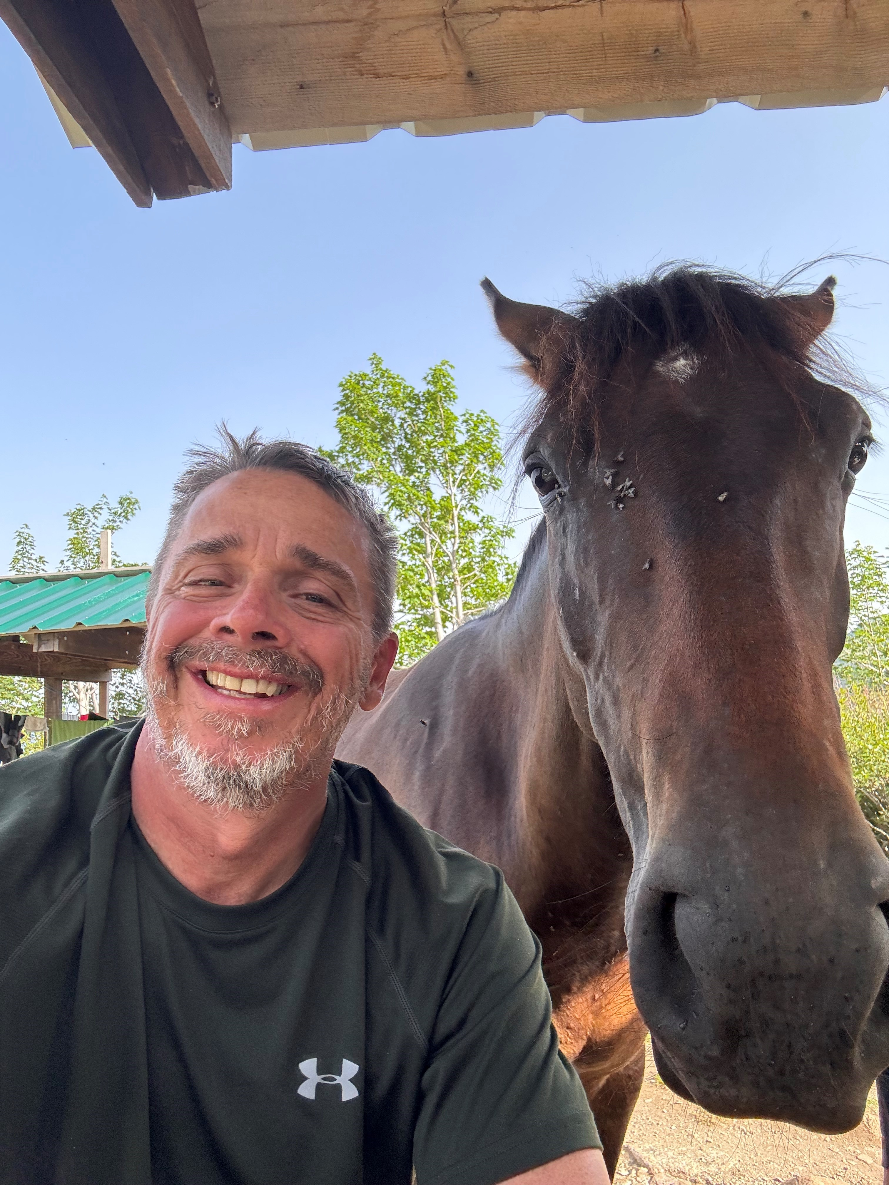 GR20 refuge avec cheval GR20 refuge avec cheval