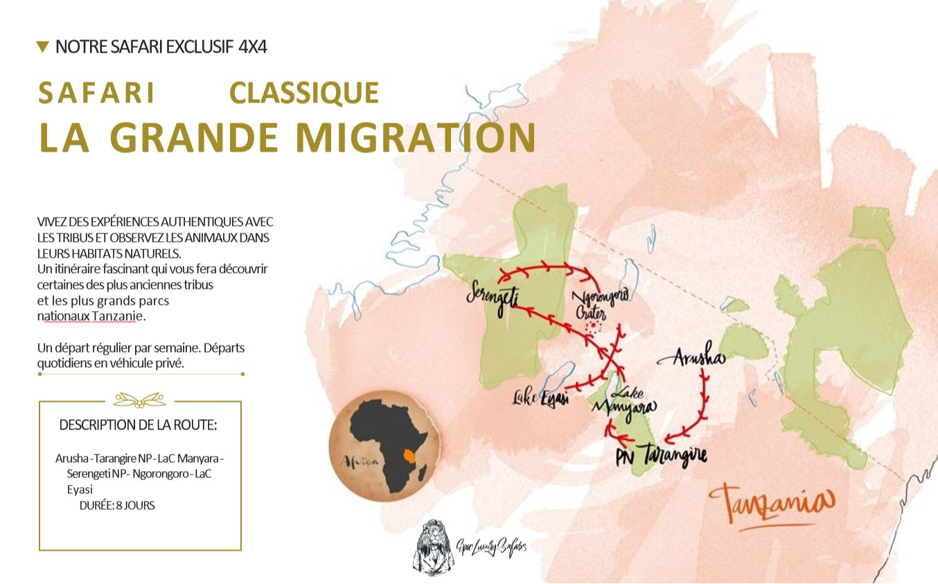 Carte du Safari Classique La Grande Migration 