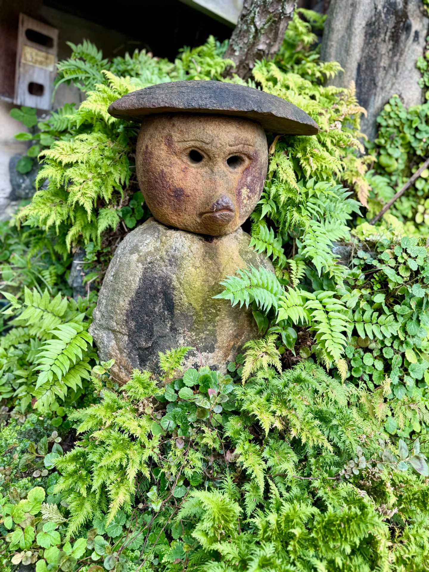 Un Tanuki Un Tanuki