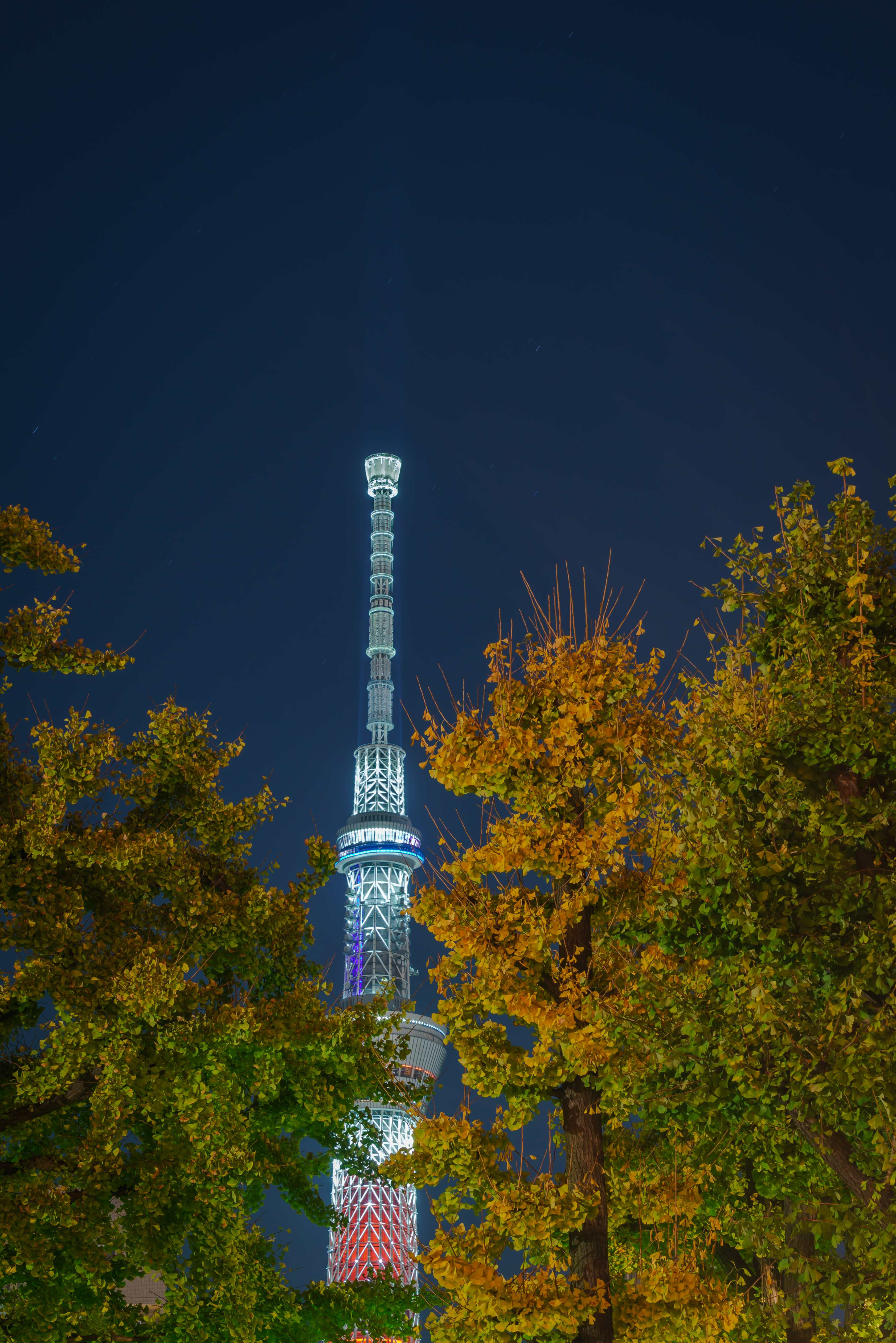 Vue de la Tour Tokyo Skytree