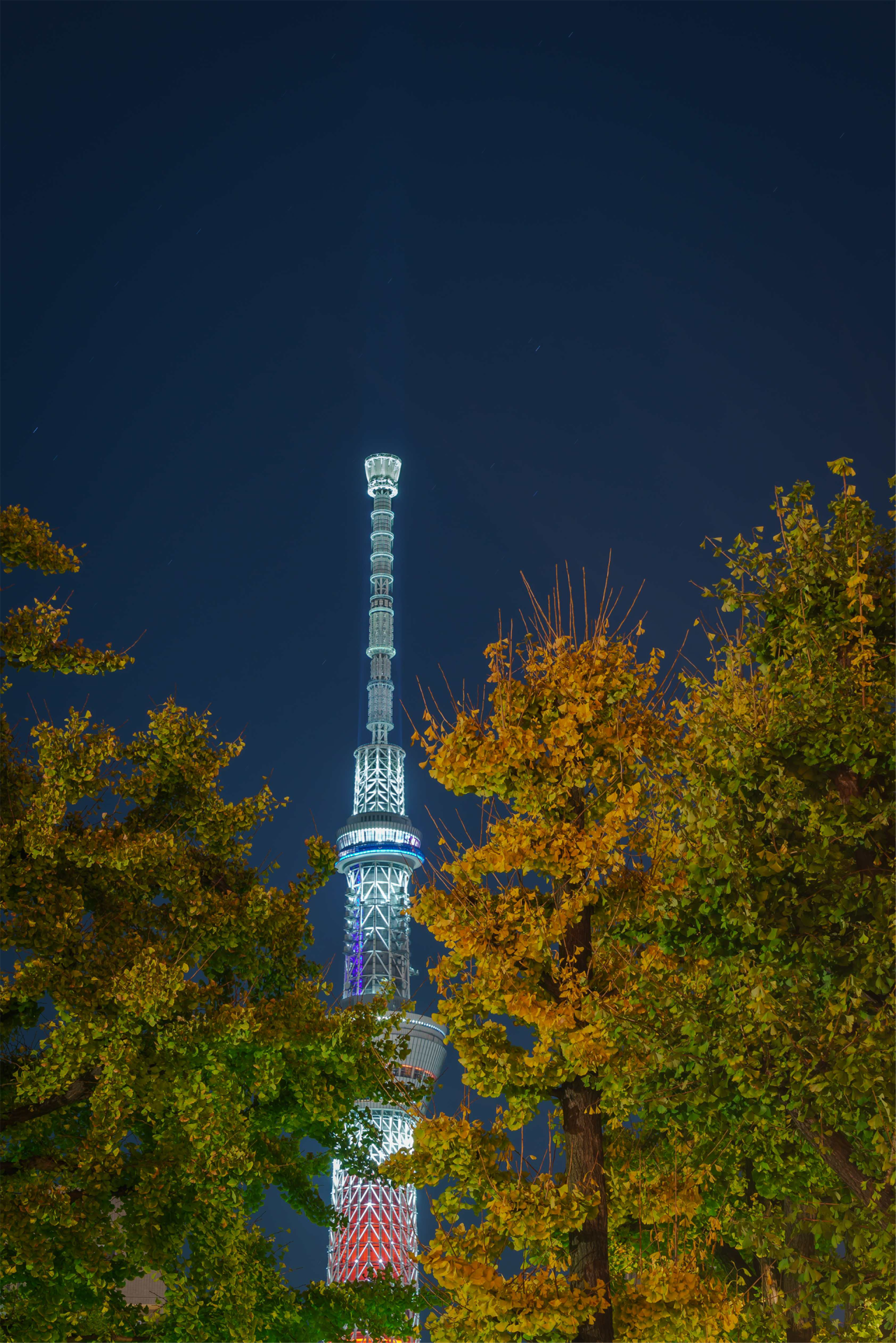 Vue de la Tour Tokyo Skytree Vue de la Tour Tokyo Skytree
