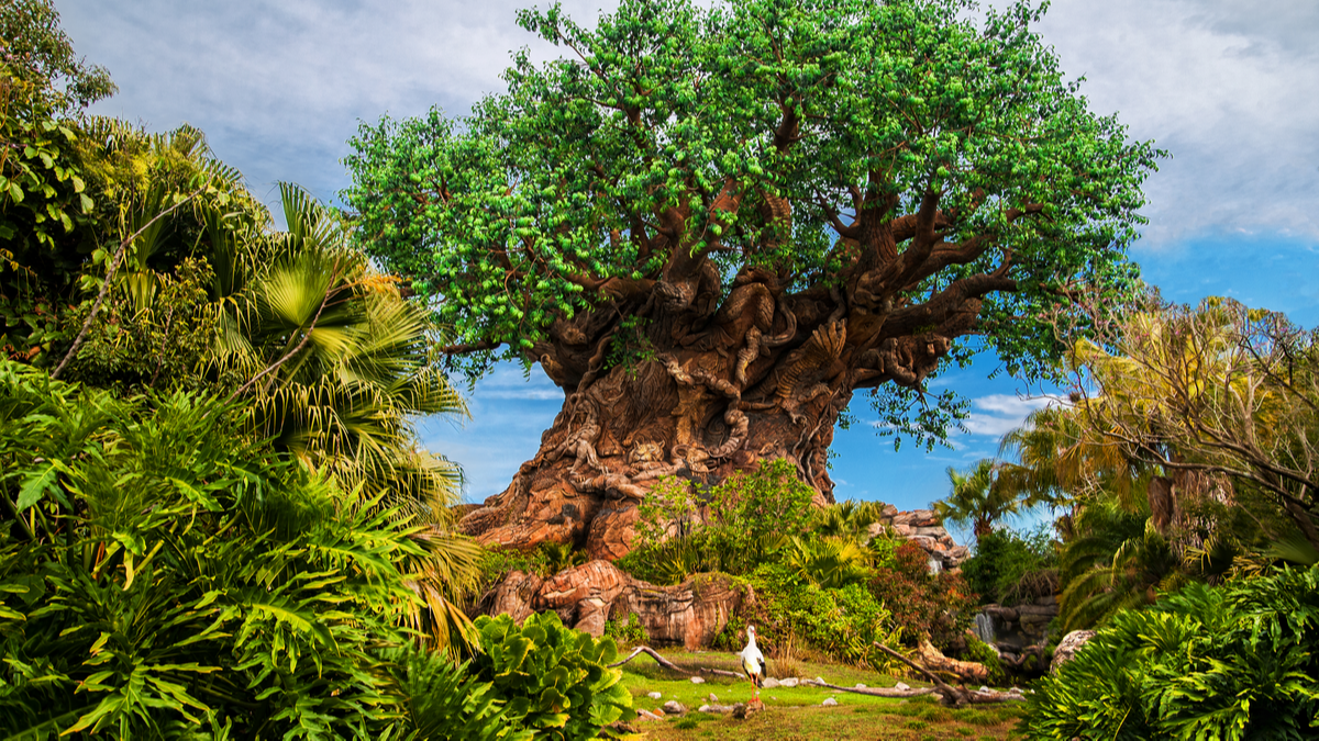 The Tree of Life The Tree of Life