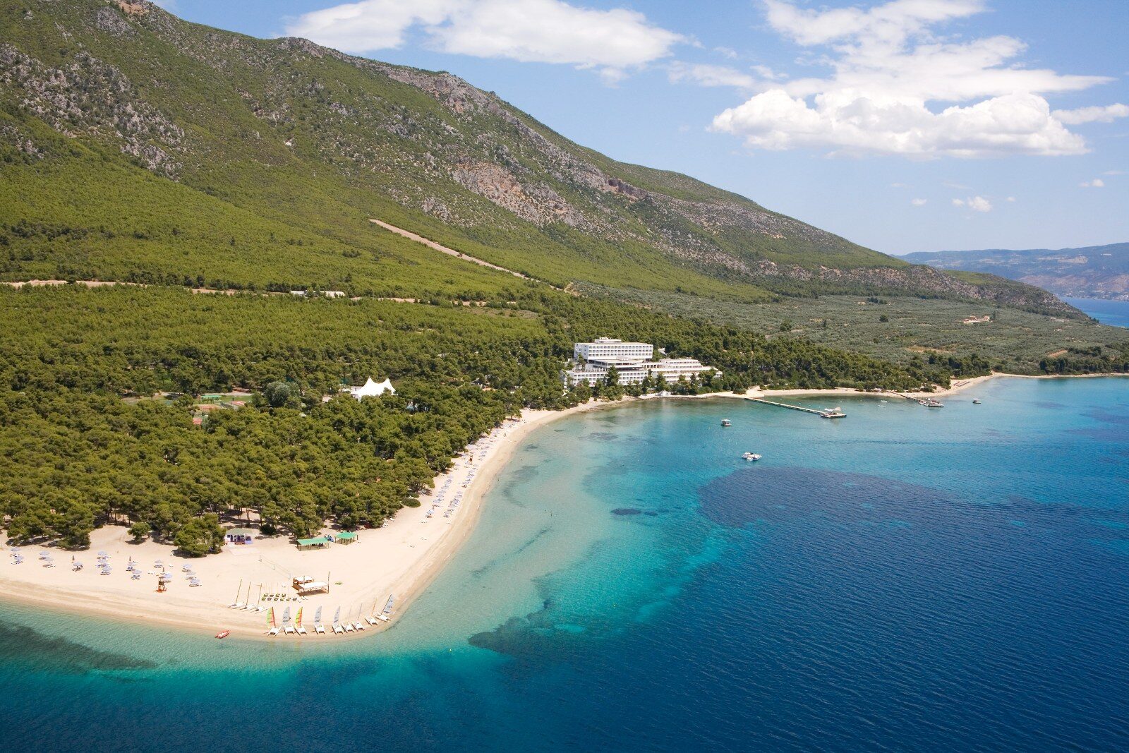 Plage bordée de pins sur une côte grecque Plage bordée de pins sur une côte grecque