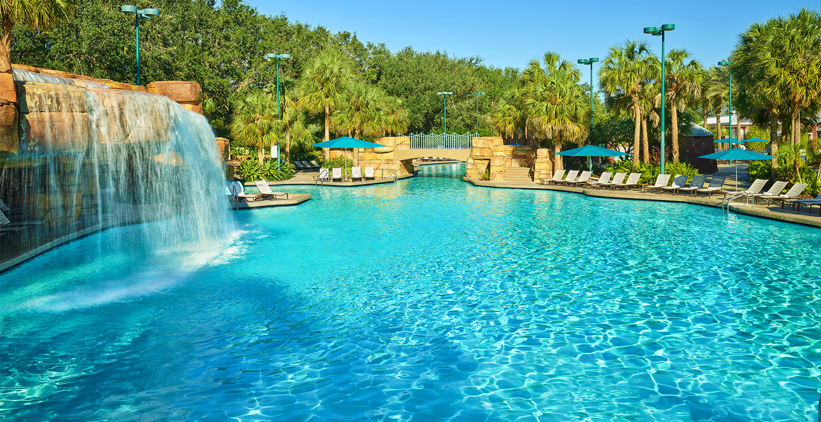 Pool at Walt Disney World Dolphin