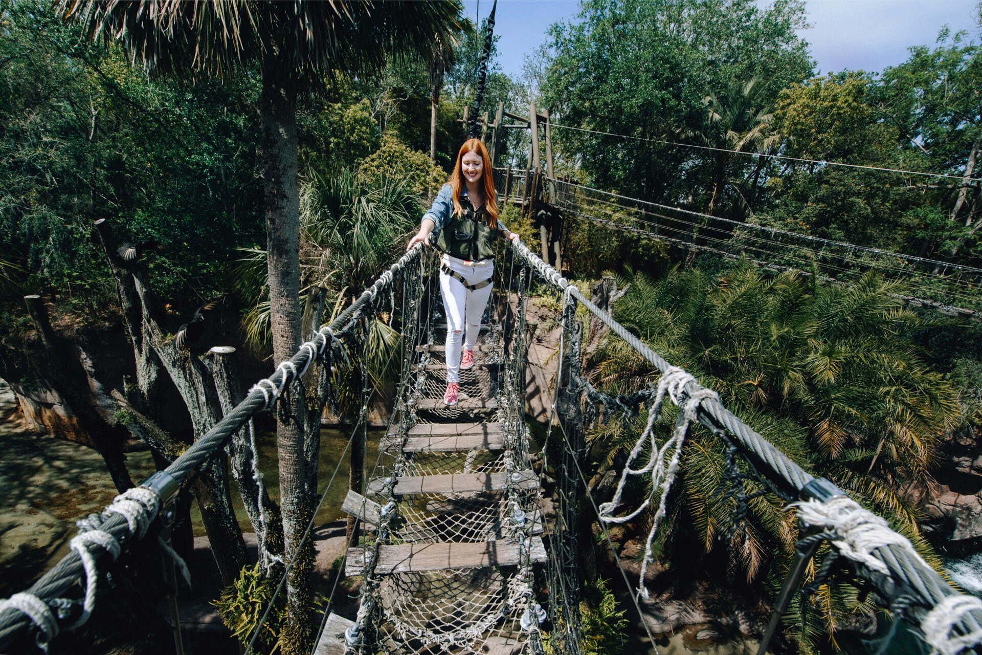 A guest crosses the Wild Africa Trek rope bridge, suspended above the canopy, at Disney’s Animal Kingdom.